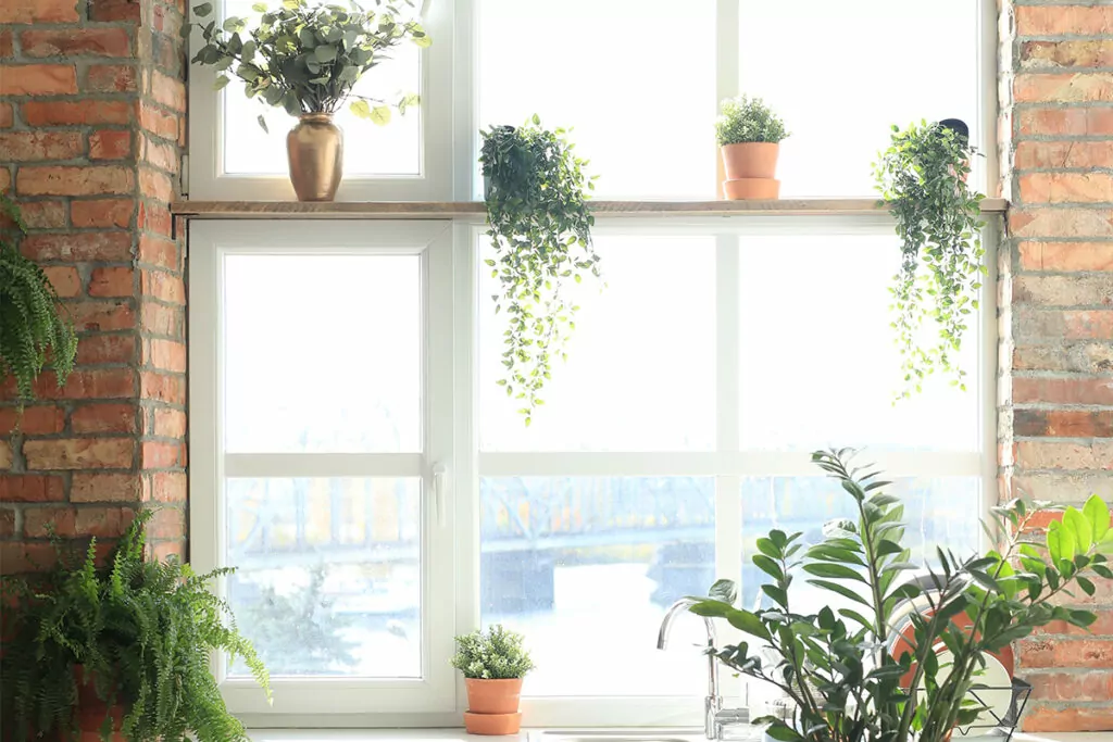 Alternatives to Windows