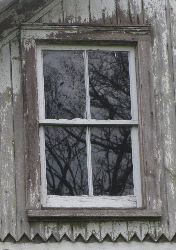 Double Window Replacement